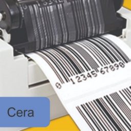 Ribbons - Cera